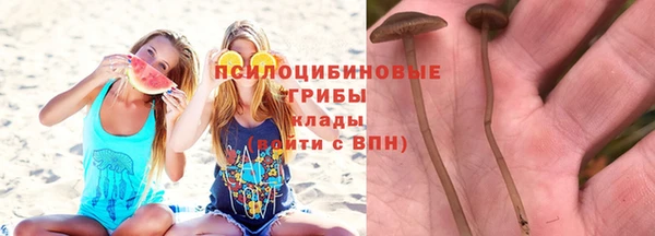 Альфа ПВП Вязьма