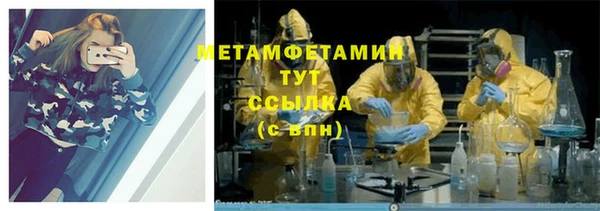 ПСИЛОЦИБИНОВЫЕ ГРИБЫ Вязники