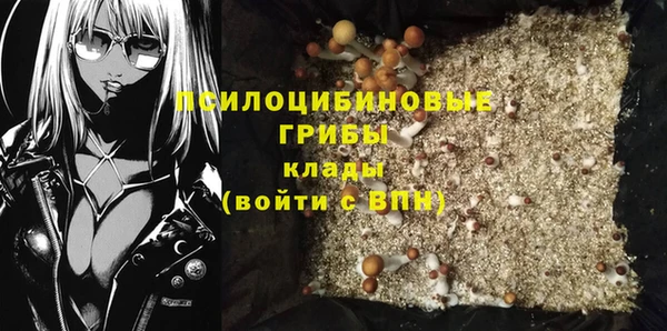 гашик Нефтекумск