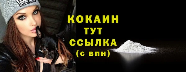 стафф Вяземский