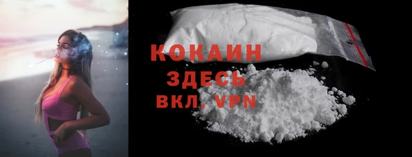 ПСИЛОЦИБИНОВЫЕ ГРИБЫ Вязники