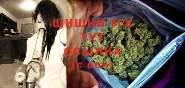 ПСИЛОЦИБИНОВЫЕ ГРИБЫ Вязники