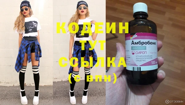 ПСИЛОЦИБИНОВЫЕ ГРИБЫ Вязники