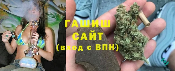 ПСИЛОЦИБИНОВЫЕ ГРИБЫ Вязники