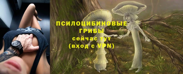 Альфа ПВП Вязьма