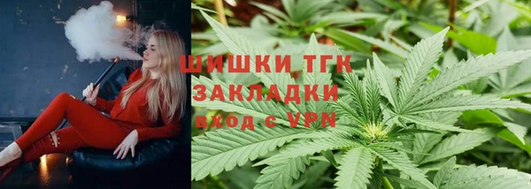ПСИЛОЦИБИНОВЫЕ ГРИБЫ Вязники