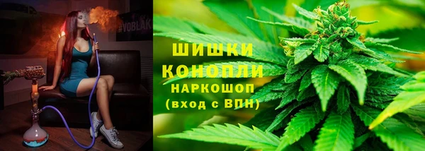 стафф Вяземский