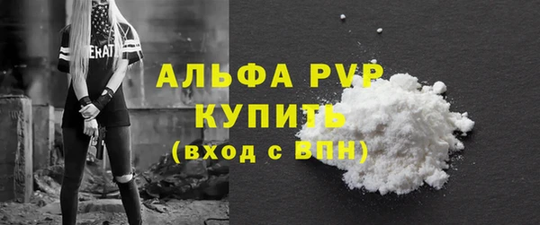 стафф Вяземский